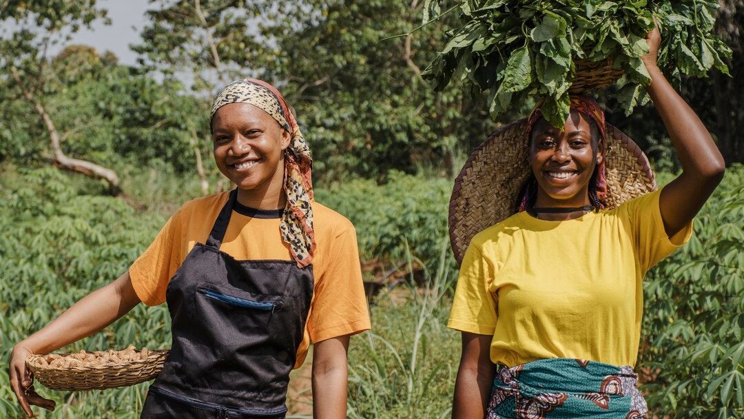 Seeds of Change: Building Food Security Through Sustainable Agriculture